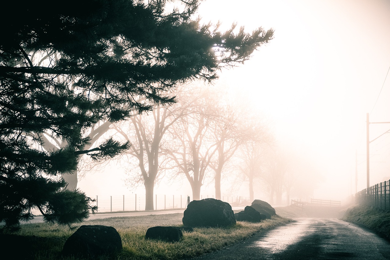 découvrez les différentes voies technologiques qui façonnent l'avenir. explorez les innovations, les tendances numériques et les stratégies essentielles pour naviguer dans un monde en constante évolution.